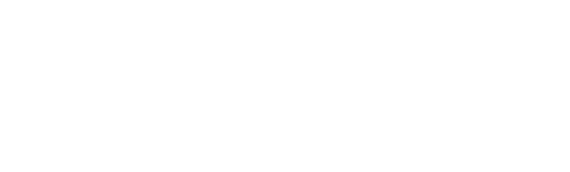 StoremintX